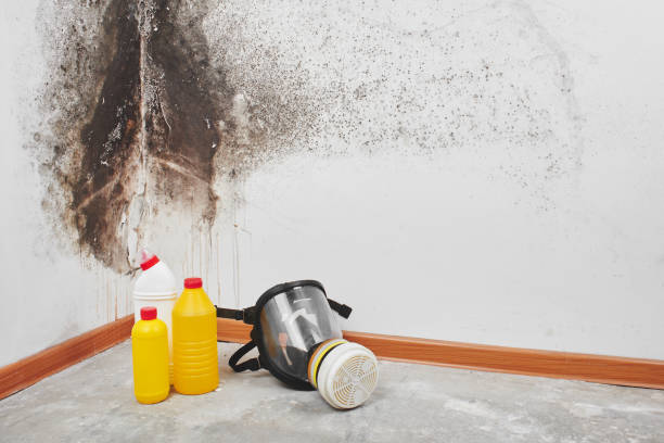 Best Residential Mold Removal  in Bohners Lake, WI