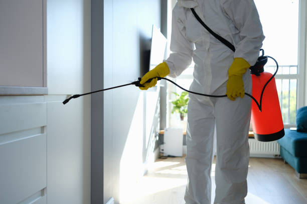 Best Mold Removal Company Near Me  in Bohners Lake, WI