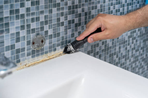 Best Best Mold Removal Companies  in Bohners Lake, WI