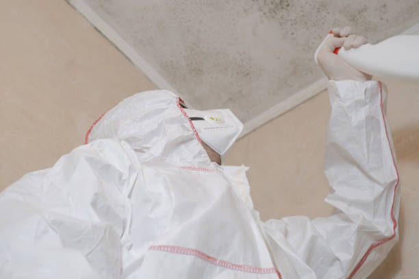 Best Office Mold Removal Services  in Bohners Lake, WI