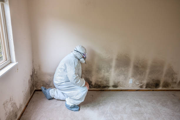 Best Crawl Space Mold Removal  in Bohners Lake, WI